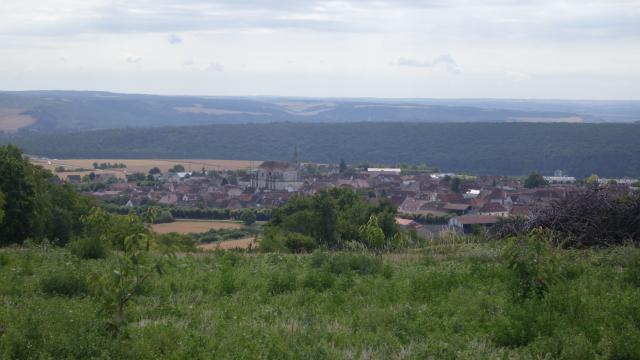 thumbs/05_coulanges_la_vineuse_pays_de_cerises_01.JPG.jpg