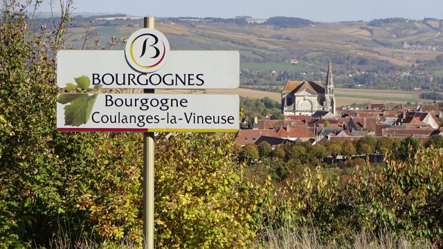 thumbs/05_coulanges_la_vineuse_pays_de_cerises_2019_04.jpg.jpg