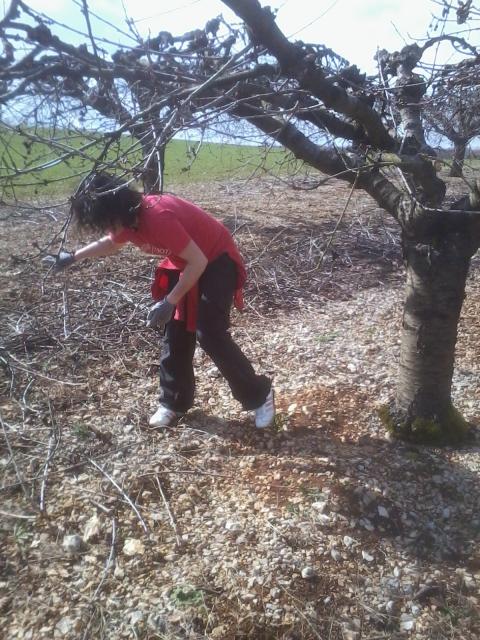 thumbs/arboriculture_andainage_01.jpg.jpg