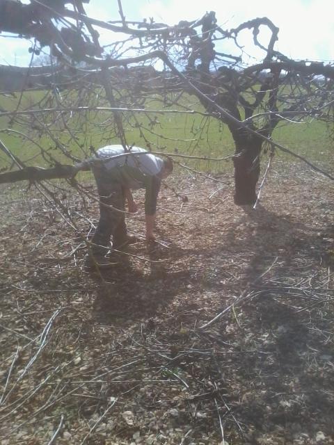 thumbs/arboriculture_andainage_02.jpg.jpg