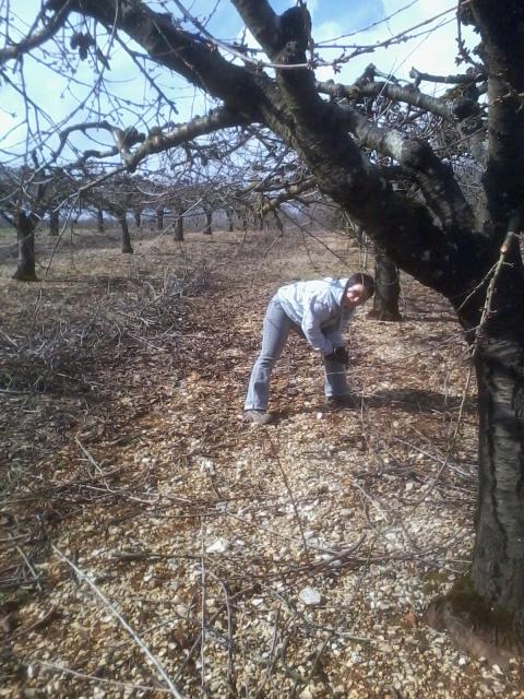thumbs/arboriculture_andainage_03.jpg.jpg
