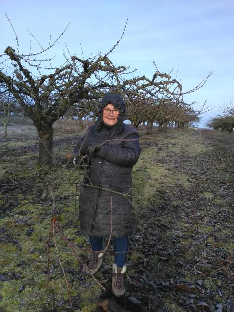 thumbs/arboriculture_andainage_2019_04.JPG.jpg