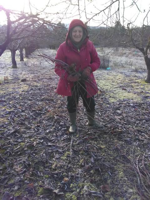 thumbs/arboriculture_andainage_2019_05.JPG.jpg